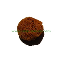 Esponja Wool extra-suave peque�a